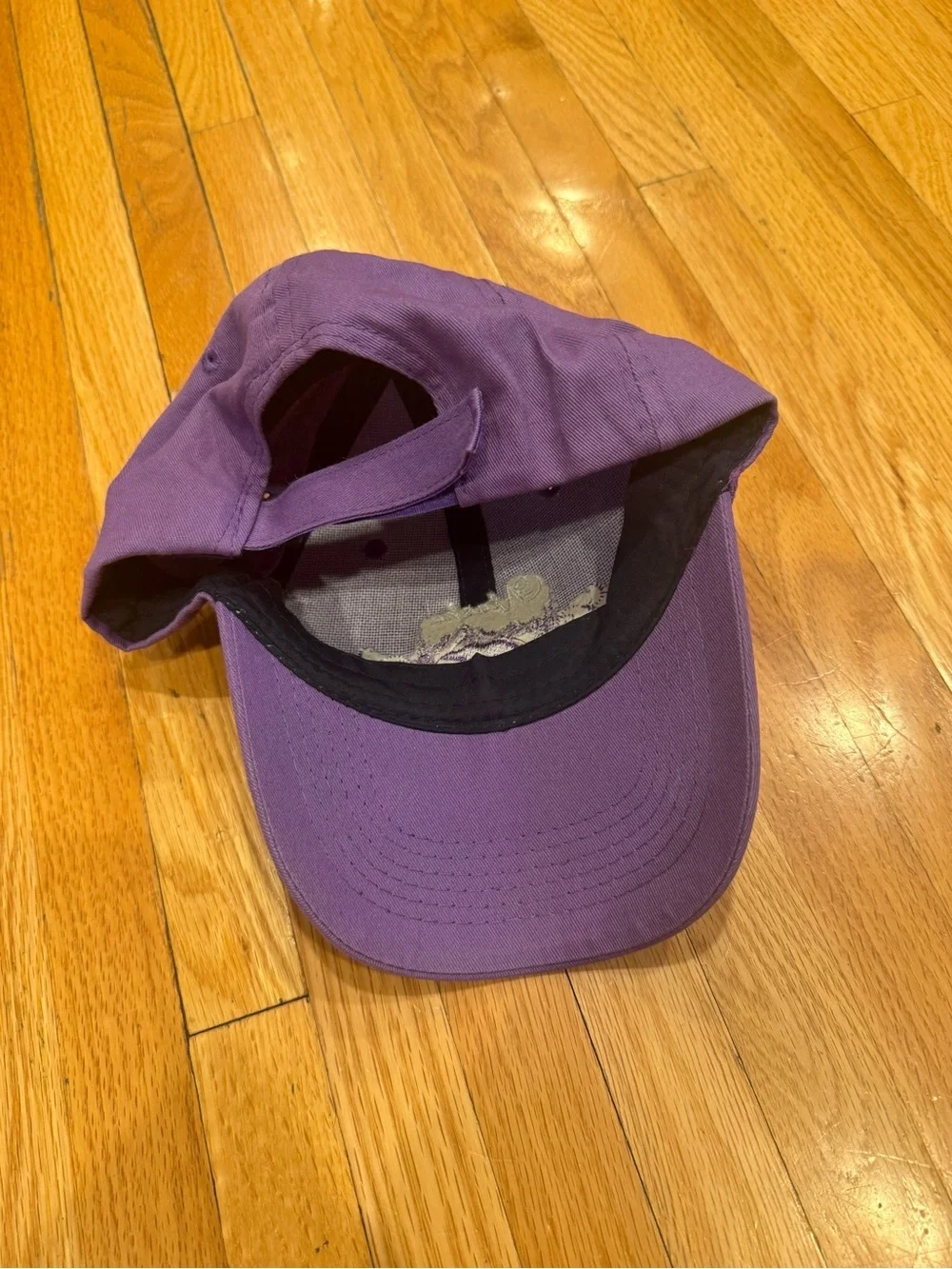Alaska Embroidered Purple Baseball Cap